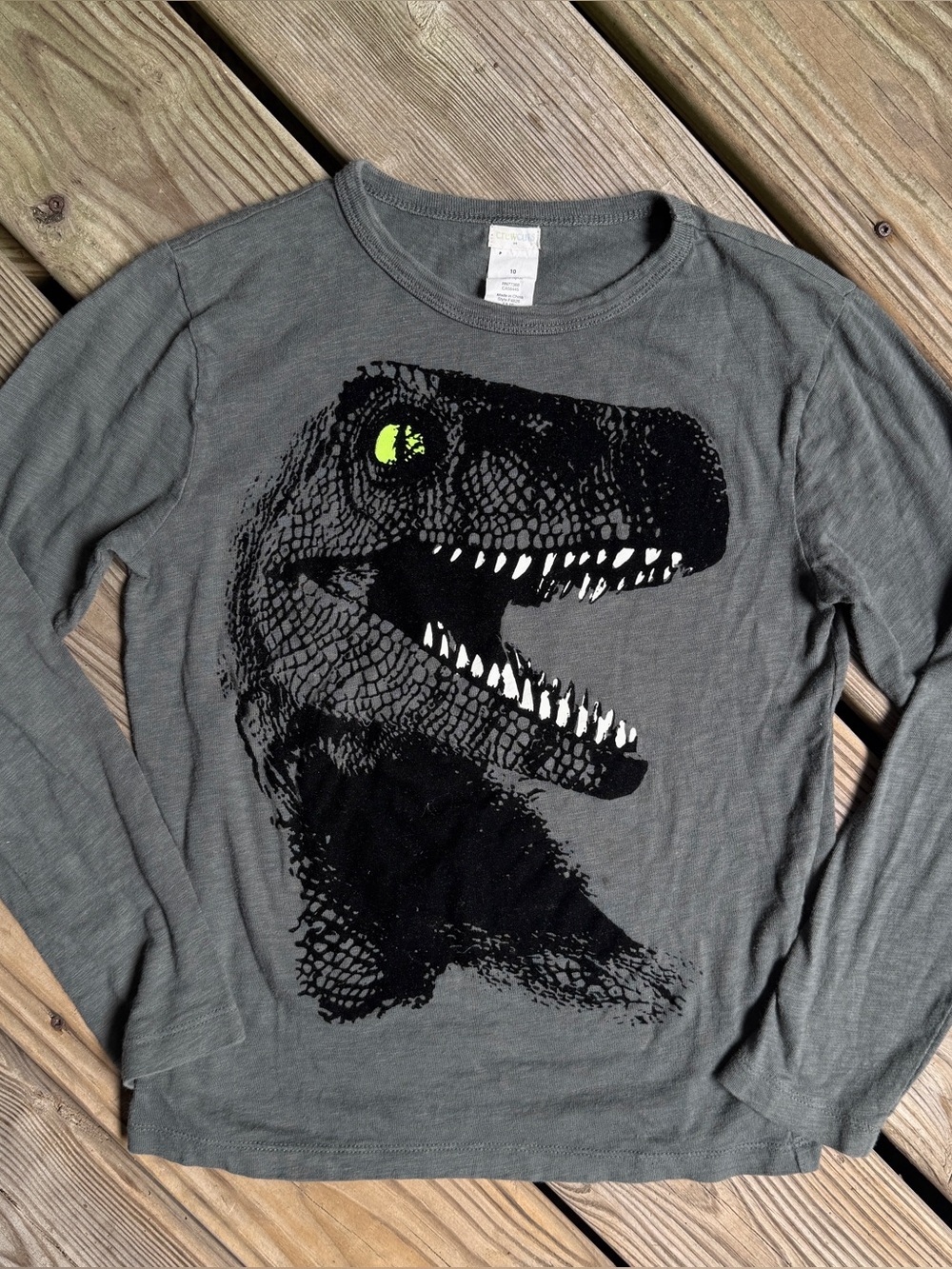 Crewcuts J. Crew Boys Gray Dinosaur Long Sleeve T-Shirt Graphic Tee Size 10